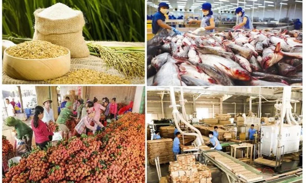 4 tháng đầu năm 2026, tổng kim ngạch xuất khẩu toàn ngành đạt khoảng 23,04 tỷ USD, tăng 5,4% so với cùng kỳ năm 2025.