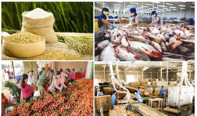 4 tháng đầu năm 2026, tổng kim ngạch xuất khẩu toàn ngành đạt khoảng 23,04 tỷ USD, tăng 5,4% so với cùng kỳ năm 2025.