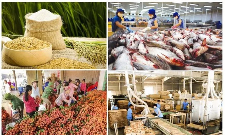 Xuất khẩu nông, lâm, thuỷ sản 4 tháng đầu năm đạt hơn 23 tỷ USD, châu Á là thị trường trọng điểm