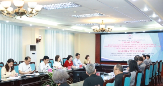 Overview of the working session.