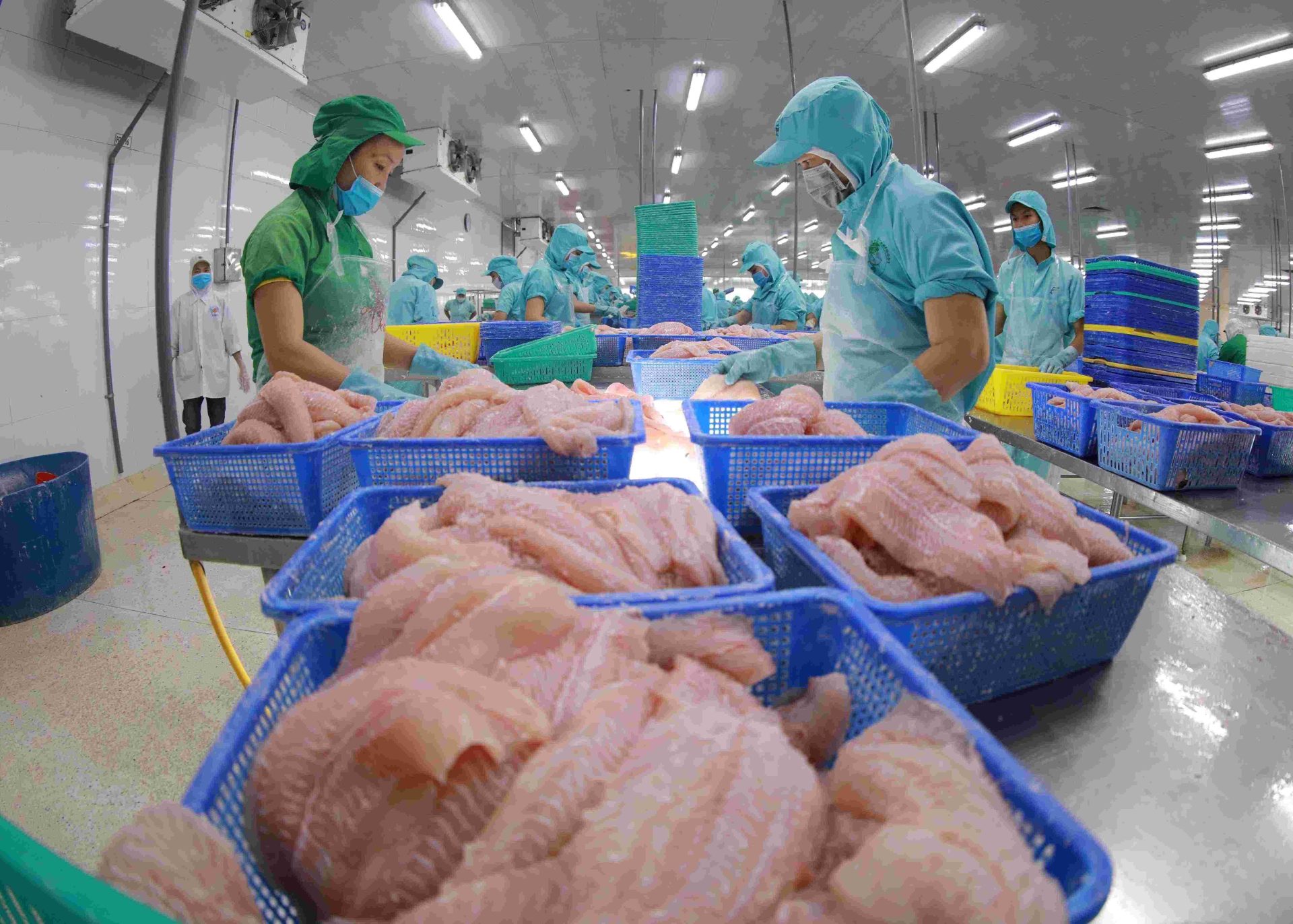 Xuất khẩu thủy sản 2026: Cần những điều kiện để bứt tốc