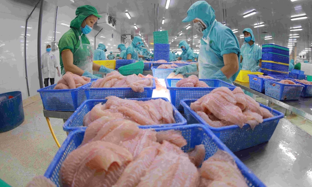 4 tháng đầu năm 2026, xuất khẩu thủy sản đạt gần 4 tỷ USD, tăng 14–15% so với cùng kỳ năm 2025.