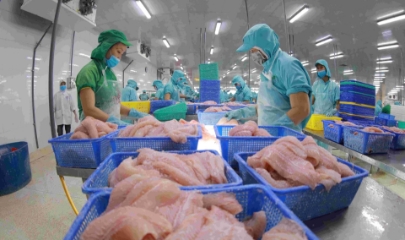 4 tháng đầu năm 2026, xuất khẩu thủy sản đạt gần 4 tỷ USD, tăng 14–15% so với cùng kỳ năm 2025.