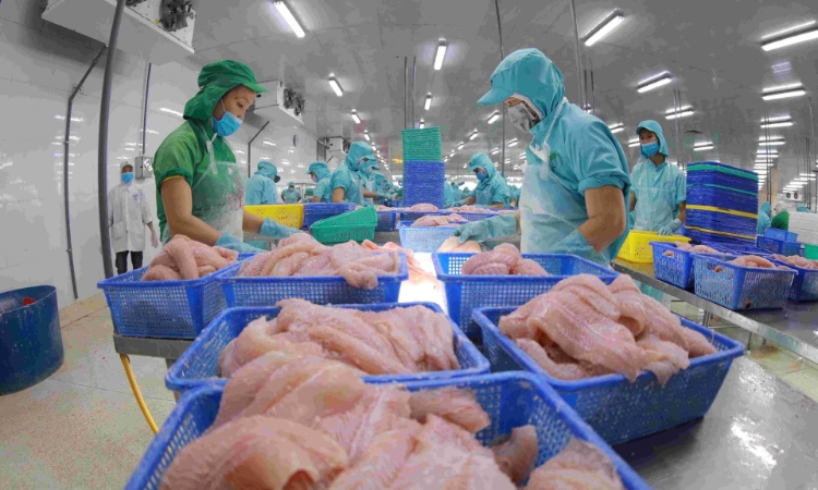 Xuất khẩu thủy sản 2026: Cần những điều kiện để bứt tốc
