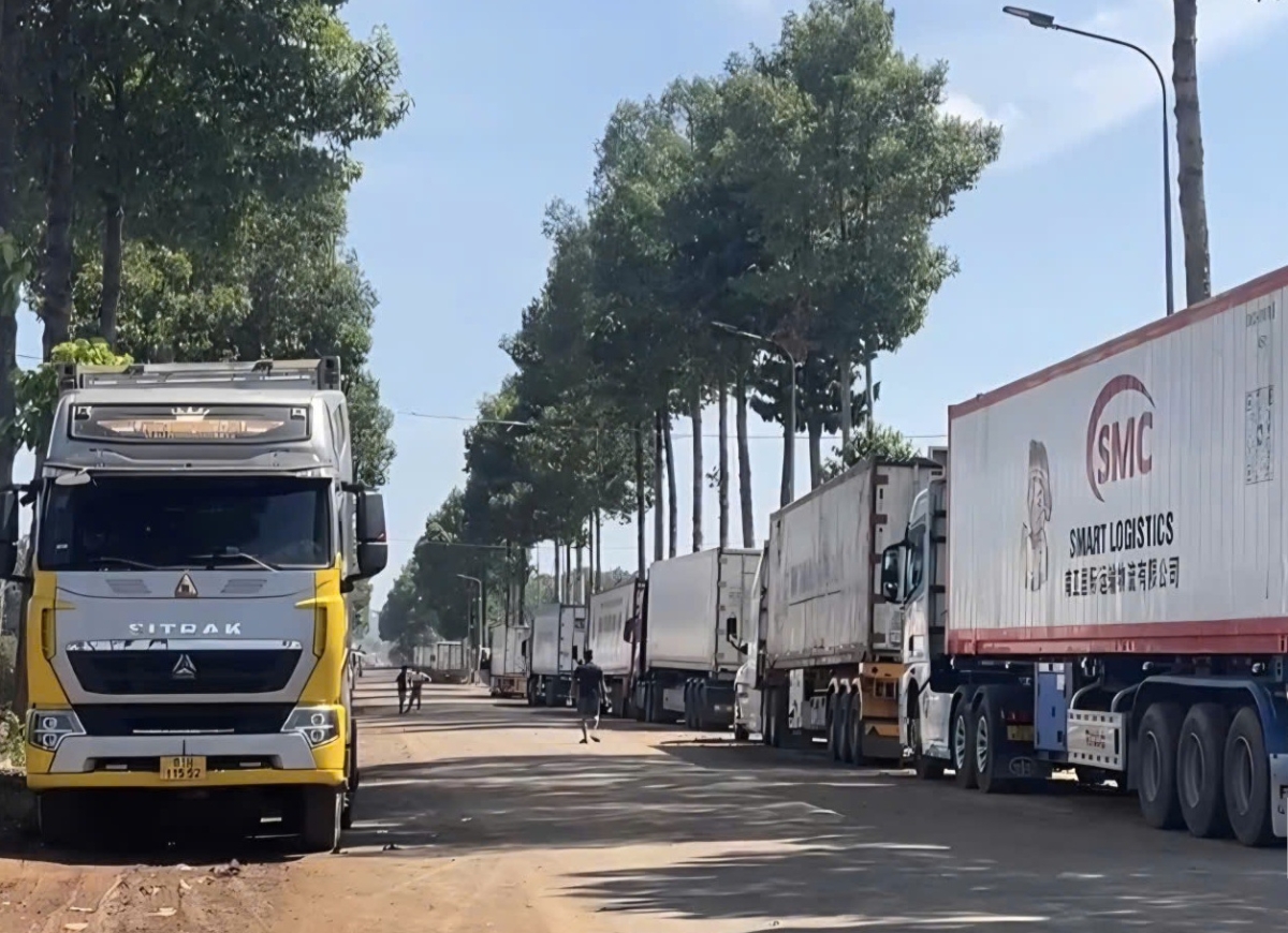 Hàng trăm container tập trung tại Dầu Giây (Đồng Nai), chờ lấy mẫu kiểm định sầu riêng trước khi xuất khẩu sang Trung Quốc