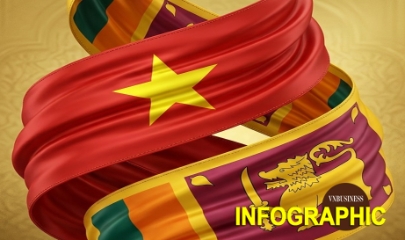 Nhìn lại Quan hệ hữu nghị truyền thống Việt Nam - Sri Lanka nhân chuyến thăm cấp Nhà nước của Tổng Bí thư, Chủ tịch nước Tô Lâm