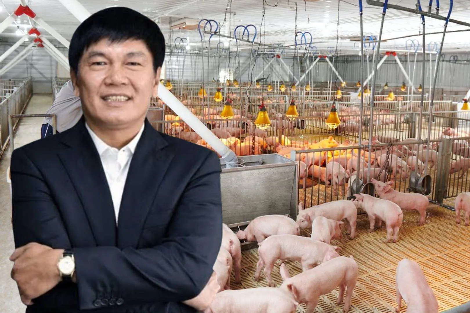 Hòa Phát đang mở rộng dấu ấn trong ngành chăn nuôi công nghiệp.