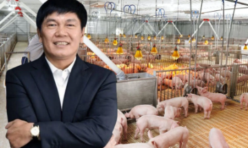 Hòa Phát đang mở rộng dấu ấn trong ngành chăn nuôi công nghiệp.