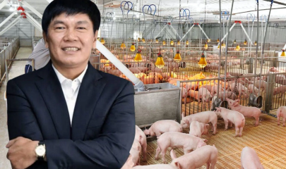 Hòa Phát đang mở rộng dấu ấn trong ngành chăn nuôi công nghiệp.