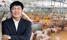 Hòa Phát đang mở rộng dấu ấn trong ngành chăn nuôi công nghiệp.