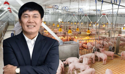 Hòa Phát đang mở rộng dấu ấn trong ngành chăn nuôi công nghiệp.