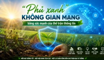 Từng hạt giống tạo nên cánh đồng xanh