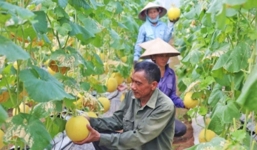 Kinh tế tuần hoàn và ESG: Hai