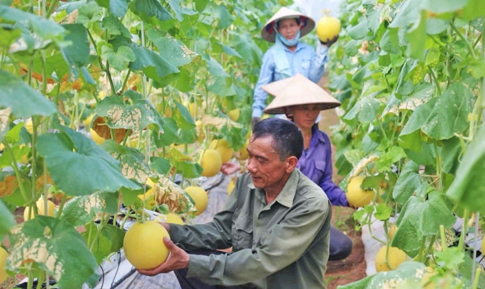 Kinh tế tuần hoàn và ESG: Hai