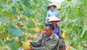 Kinh tế tuần hoàn và ESG: Hai