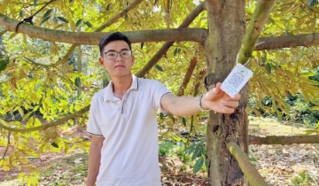 Tem QR chưa đủ “soi” hàng bẩn: Truy xuất nguồn gốc vẫn mắc kẹt ở phần ngọn