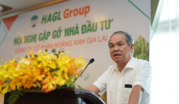 Bầu Đức mạnh tay chi gần 67 tỷ đồng gom thêm cổ phiếu HAG giữa lúc thị giá lao dốc