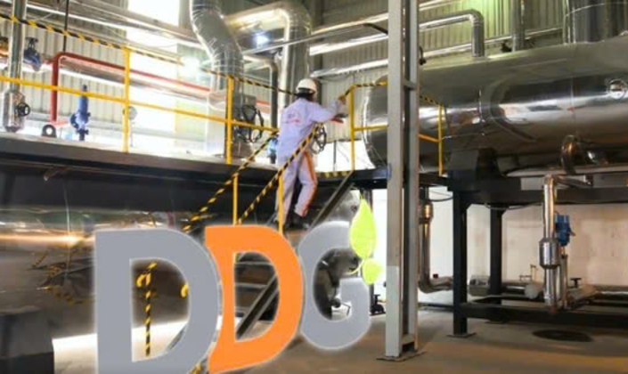 DDG bên bờ hủy niêm yết: 3 năm lỗ liên tiếp, nợ quá hạn chồng chất