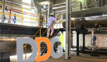 DDG bên bờ hủy niêm yết: 3 năm lỗ liên tiếp, nợ quá hạn chồng chất