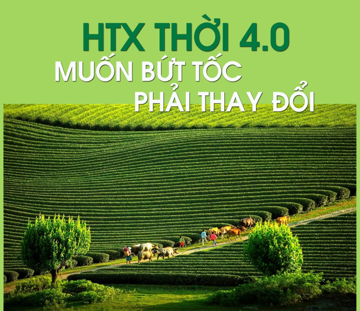 HTX thời 4.0: Muốn bứt tốc thì phải thay đổi