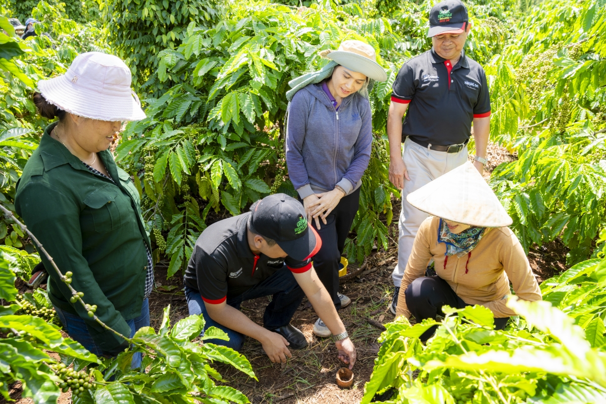 Cán bộ hỗ trợ nông nghiệp của Nestlé Việt Nam hướng dẫn nông dân trồng cà phê thực hành canh tác nông nghiệp tái sinh.