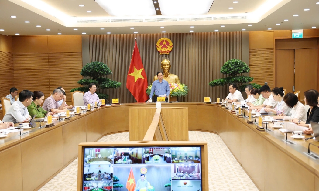 Phó Thủ tướng đề nghị Bộ Công an vào cuộc xử lý nghiêm các hành vi môi giới, mua bán, cho thuê mã số vùng trồng hoặc làm sai lệch kết quả kiểm nghiệm.