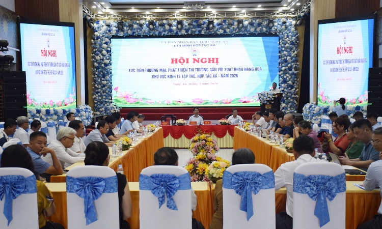 Mở rộng thị trường xuất khẩu, HTX Nghệ An tăng tốc chuyển đổi sản xuất theo chuỗi