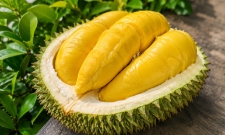 Ấn Độ nới điều kiện với sầu riêng Việt Nam