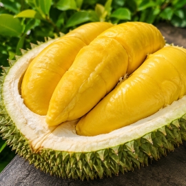 Ấn Độ nới điều kiện với sầu riêng Việt Nam
