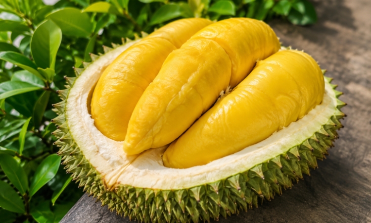 Trung Quốc, EU đồng loạt siết chuẩn thực phẩm, doanh nghiệp xuất khẩu Việt cần lưu ý gì?