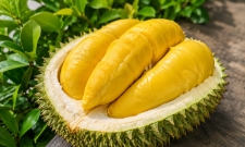 Ấn Độ nới điều kiện với sầu riêng Việt Nam