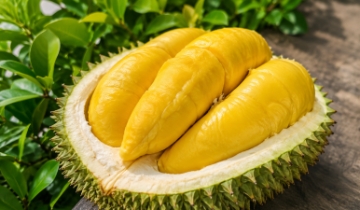 Trung Quốc, EU đồng loạt siết chuẩn thực phẩm, doanh nghiệp xuất khẩu Việt cần lưu ý gì?