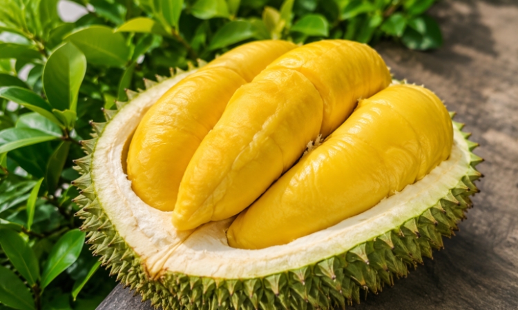 Trung Quốc, EU đồng loạt siết chuẩn thực phẩm, doanh nghiệp xuất khẩu Việt cần lưu ý gì?