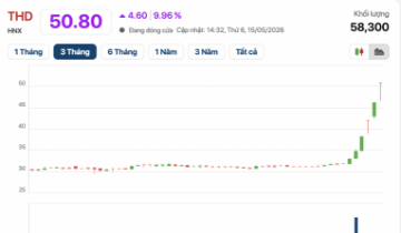 THD tăng dựng đứng, thị trường đang “trả giá” quá cao cho Thaiholdings?