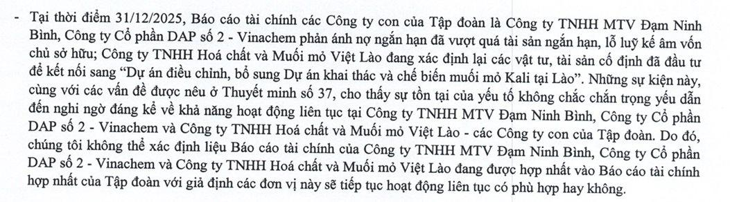 Đơn vị kiểm toán nghi ngờ khả năng hoạt động liên tục 3 công ty con của Vinachem.