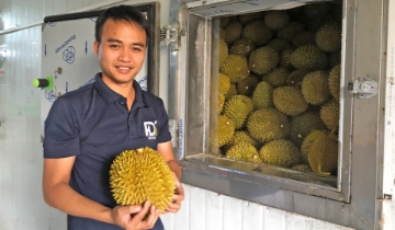 Bảo quản lạnh quyết định giá trị nông sản