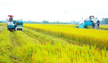 Nông sản Việt tăng tốc “xanh hóa” để giữ thị trường xuất khẩu