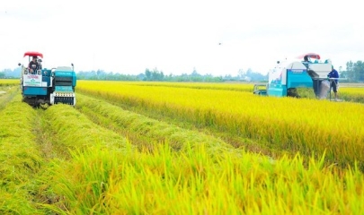 Sản xuất trồng trọt giảm phát thải là yêu cầu nội tại để nâng cao chất lượng tăng trưởng, gia tăng sức cạnh tranh và giá trị cho ngành nông nghiệp.