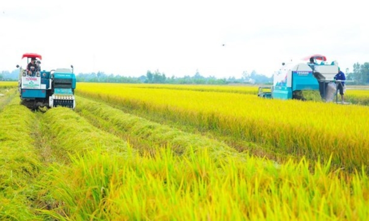 Nông sản Việt tăng tốc “xanh hóa” để giữ thị trường xuất khẩu