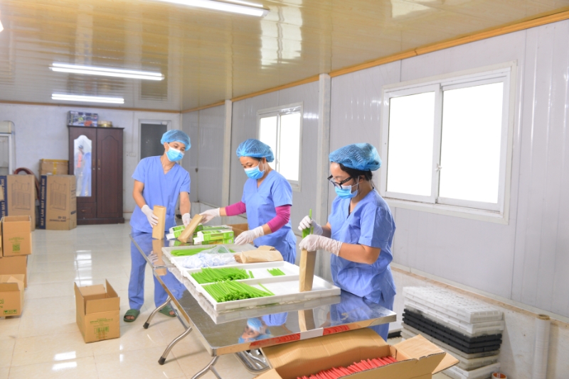 Rau củ “hóa thân” thành ống hút: Hướng đi lạ của một HTX nông nghiệp ở Hà Nội