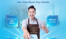VnBusiness