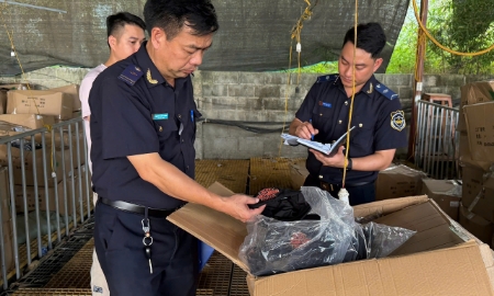 VnBusiness