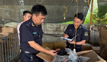 Phát hiện hàng nghìn sản phẩm nghi giả mạo nhãn hiệu nổi tiếng tại các cửa khẩu