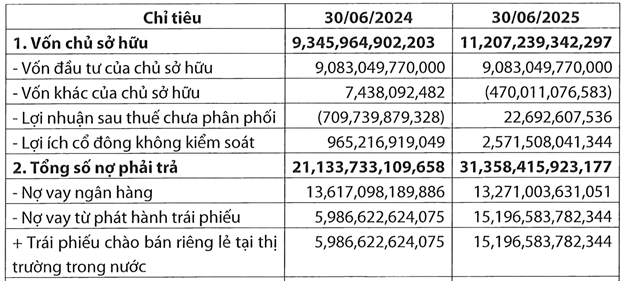 Nợ vay trái phiếu TNRE tăng mạnh.