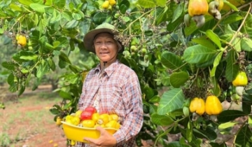 HTX xuất khẩu hữu cơ: Không để mắc kẹt dưới đáy chuỗi giá trị