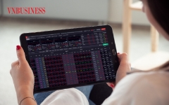 VnBusiness