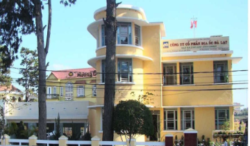 Địa ốc Đà Lạt bị phạt gần 180 triệu đồng, vốn chủ sở hữu chỉ còn 14,8 tỷ đồng