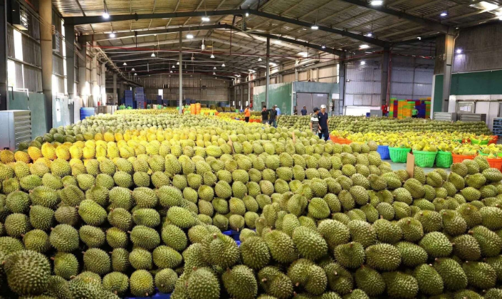 Bộ NN&MT vừa có công hàm gửi Tổng cục Hải quan nước Cộng hòa nhân dân Trung Hoa (GACC), thông tin về Hệ thống truy xuất nông sản của Việt Nam.
