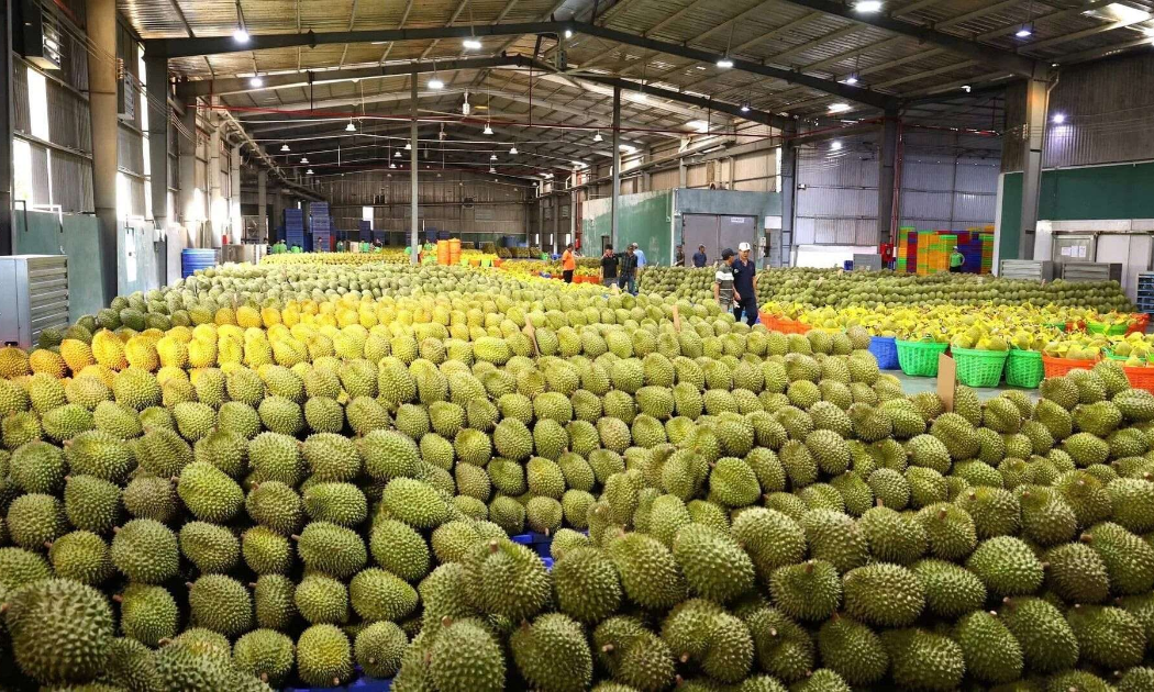 Bộ NN&MT vừa có công hàm gửi Tổng cục Hải quan nước Cộng hòa nhân dân Trung Hoa (GACC), thông tin về Hệ thống truy xuất nông sản của Việt Nam.