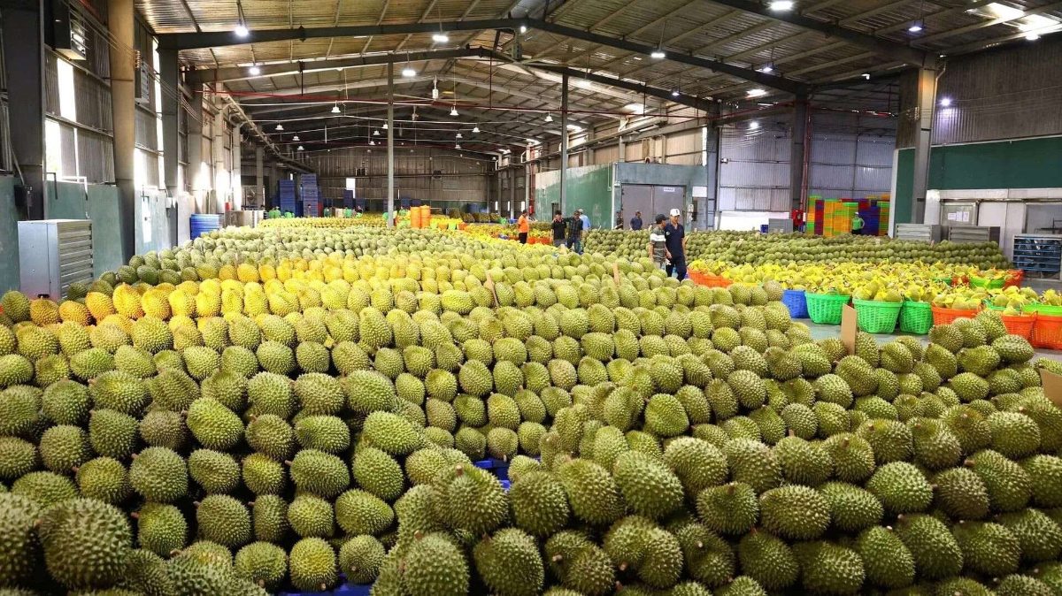 Bộ NN&MT vừa có công hàm gửi Tổng cục Hải quan nước Cộng hòa nhân dân Trung Hoa (GACC), thông tin về Hệ thống truy xuất nông sản của Việt Nam...